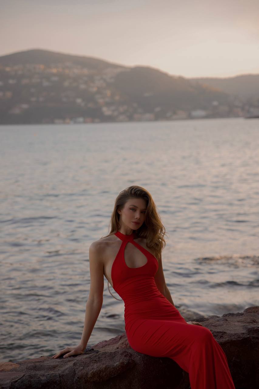 Provocateur Dress