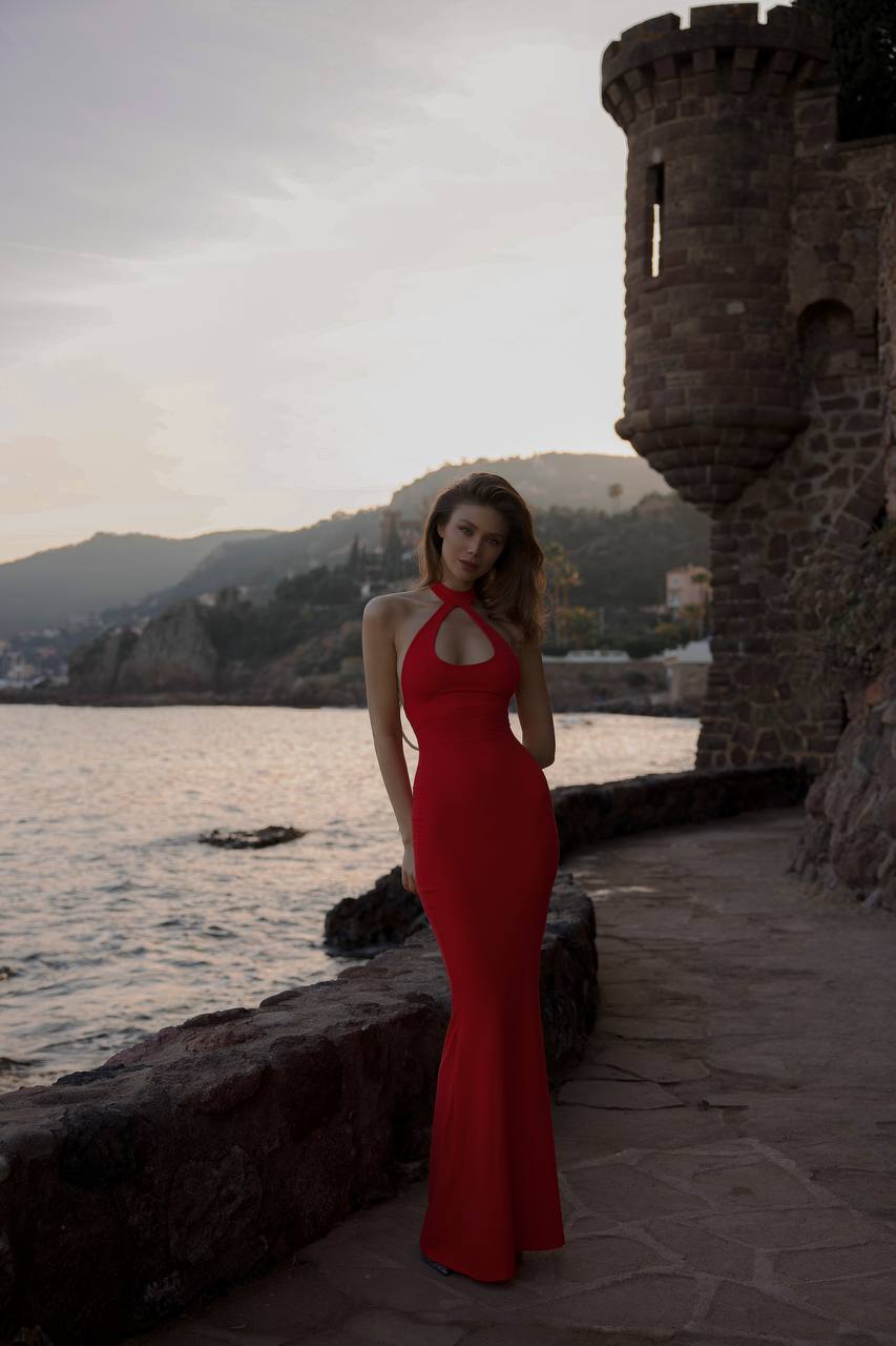 Provocateur Dress